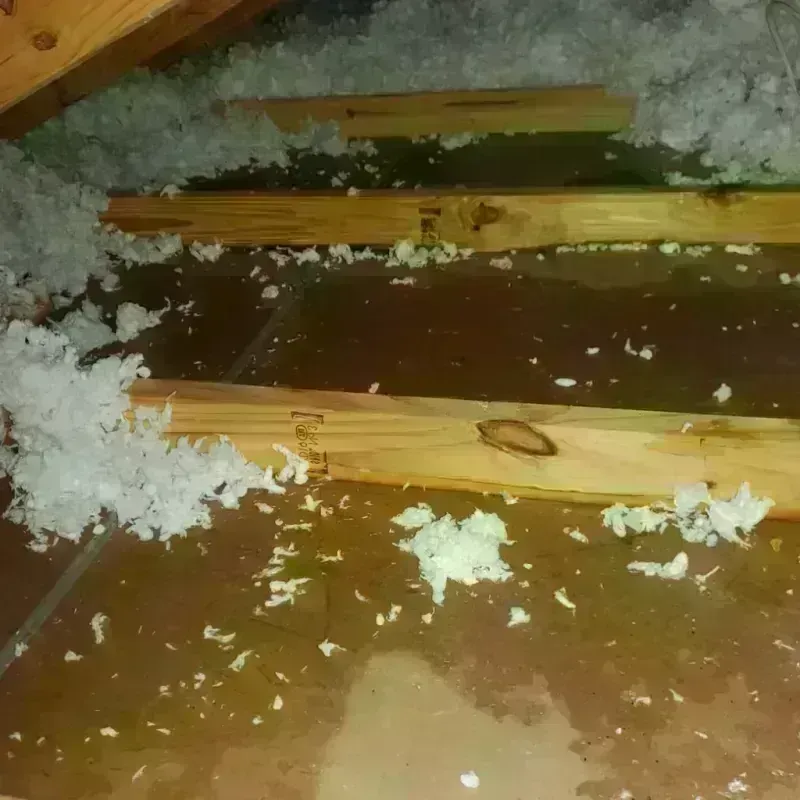 Attic Water Damage in Quebrada, PR